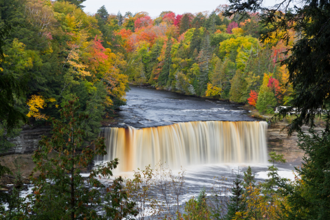 waterfall and trees